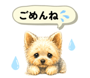 844879548