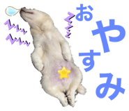 844879913