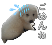 844879914