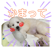 844879915