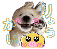 844879917