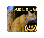 844880295