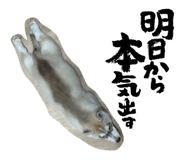 844880930