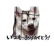 844880938
