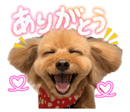 844881442
