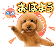 844881445