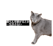 844881604