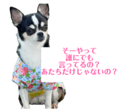 844881606