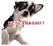 844881608
