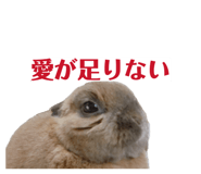 844881611