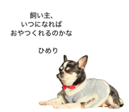 844881612