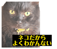 844881613