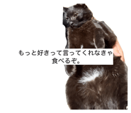 844881615