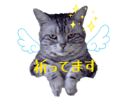 844881623