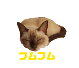 844881626
