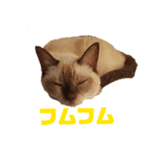 844881626