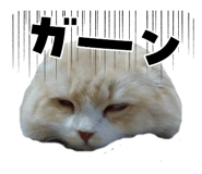 844881628