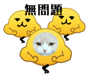 844881634