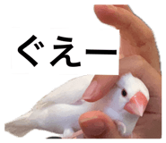 844881729
