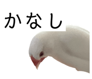 844881730