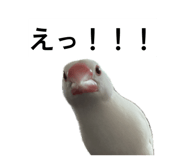 844881735