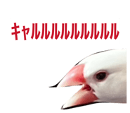844881736