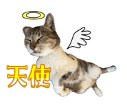 844881901