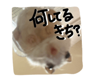 844882545