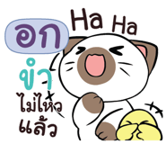 844884053