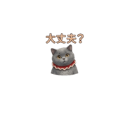 844885063