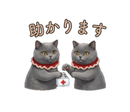 844885317
