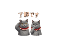 844885334
