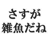 844886546