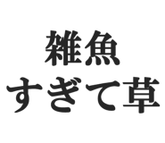 844886550