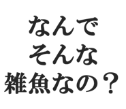 844886551
