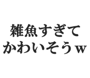 844886553