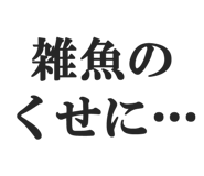 844886559