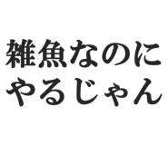 844886562