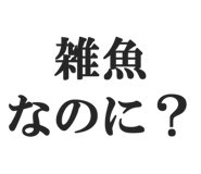 844886570