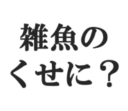 844886571