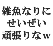 844886578