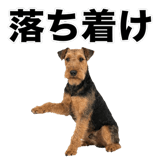 844887091