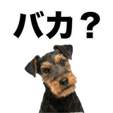 844887095