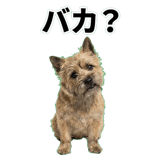 844887223