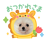 844889987