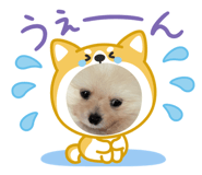 844889988