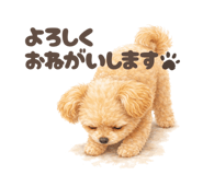 844890341