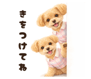 844890346