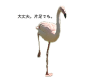 844890550