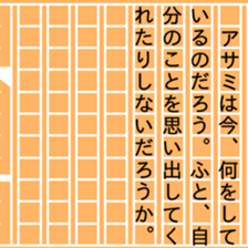 84489065